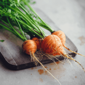 carottes-gillet-contres-nutriform