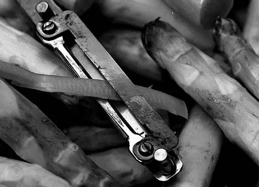 COUTEAU ASPERGES COUTEAU ASPERGES