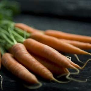 carottes-gillet-contres-nutriform-2.jpg